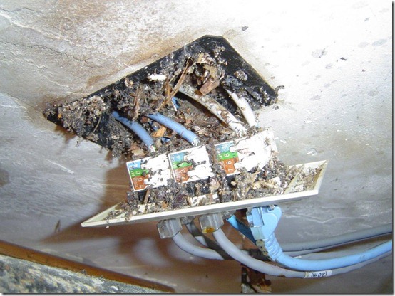 Network wiring 001